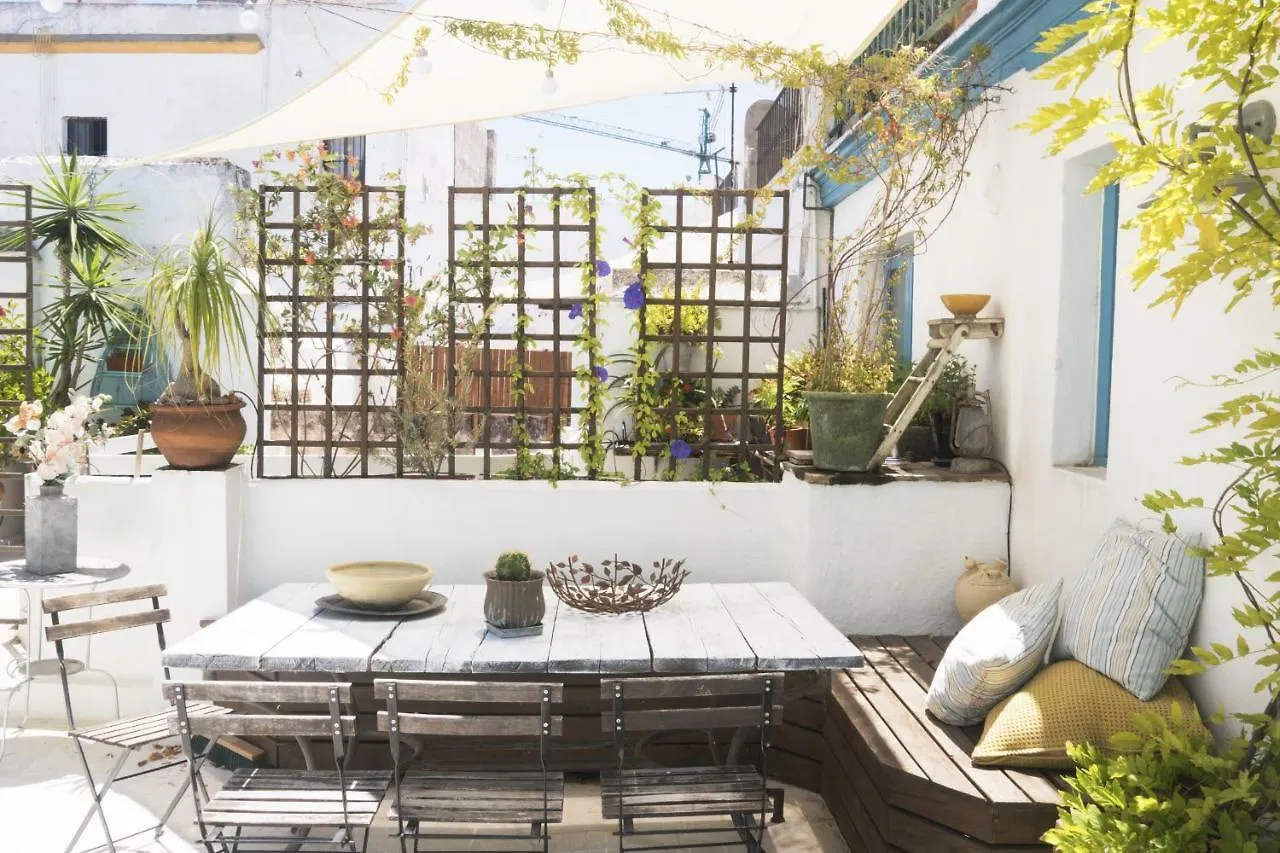 Amazing Penthouse Cadiz 아파트
