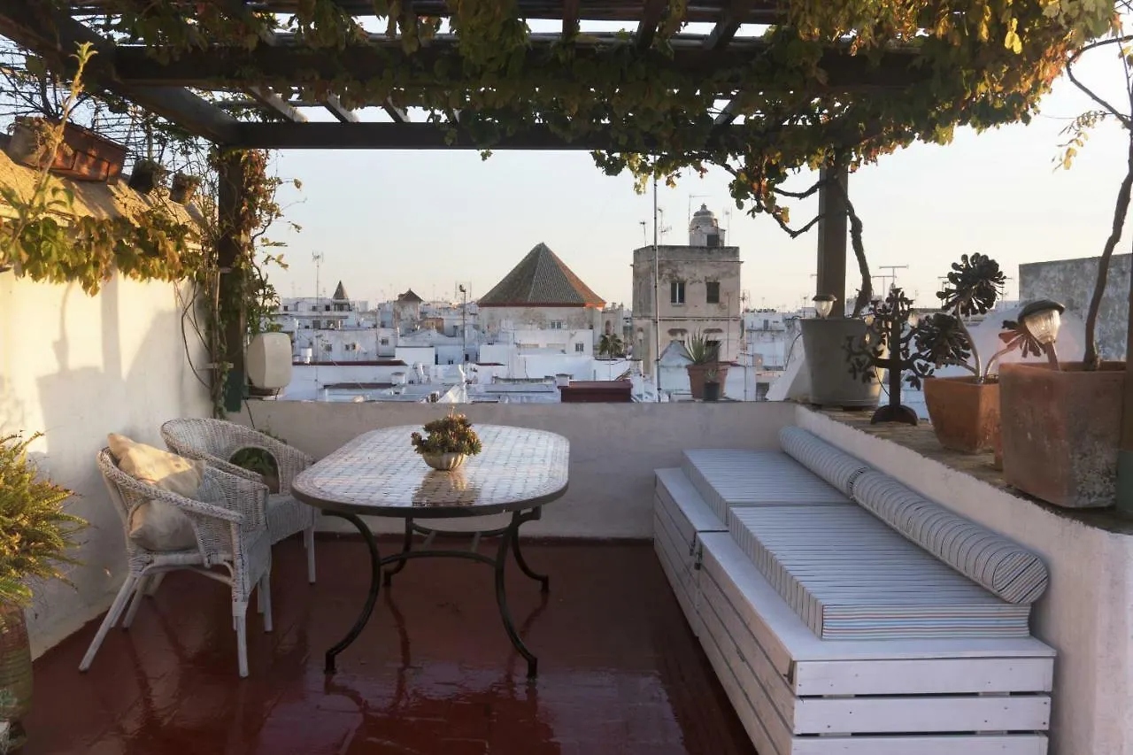Amazing Penthouse Cadiz 아파트