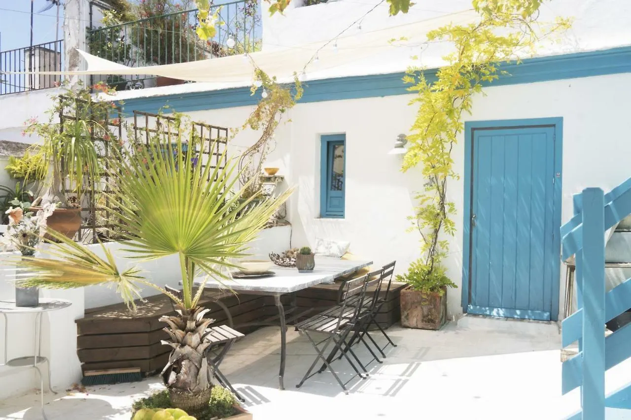Amazing Penthouse Cadiz 아파트