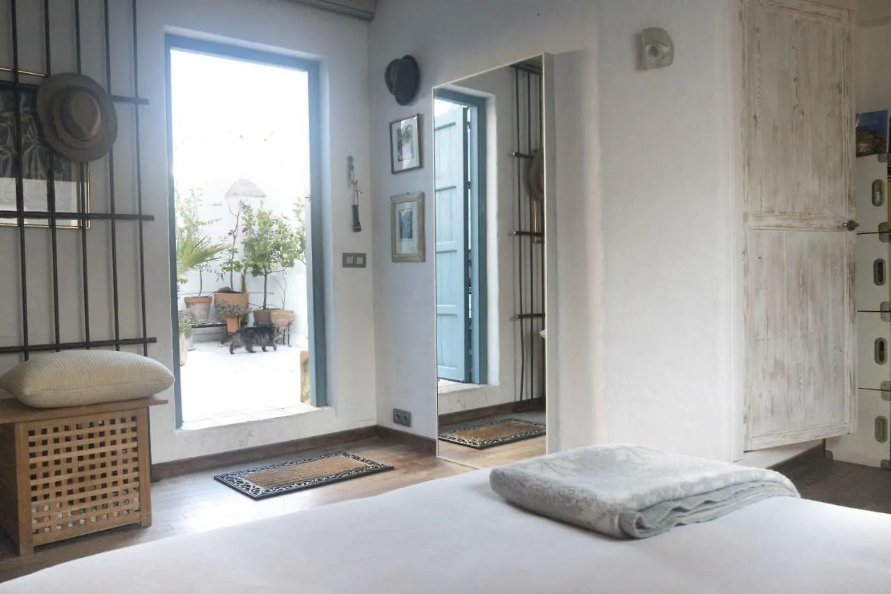 Amazing Penthouse Cadiz 아파트